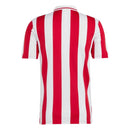Olympiacos Centenary Fan Jersey 2024/25