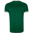 Palmeiras Home Fan Jersey 2025/26