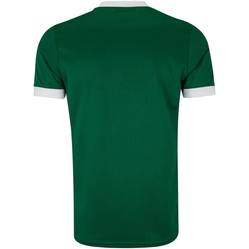 Palmeiras Home Fan Jersey 2025/26